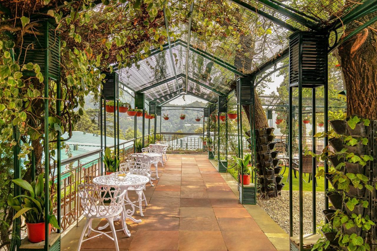 Shervani Hilltop Resort Nainital Bagian luar foto
