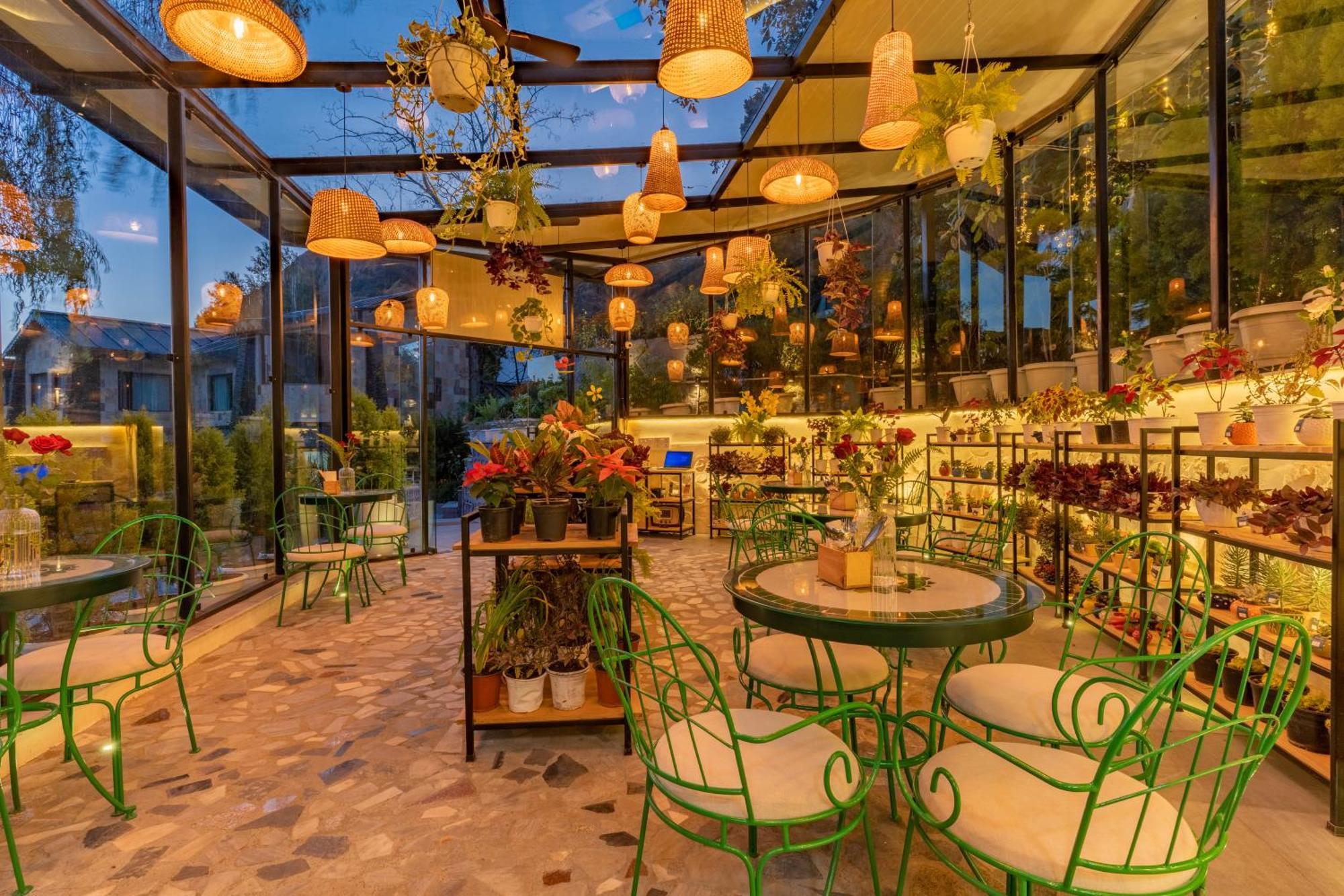 Shervani Hilltop Resort Nainital Bagian luar foto