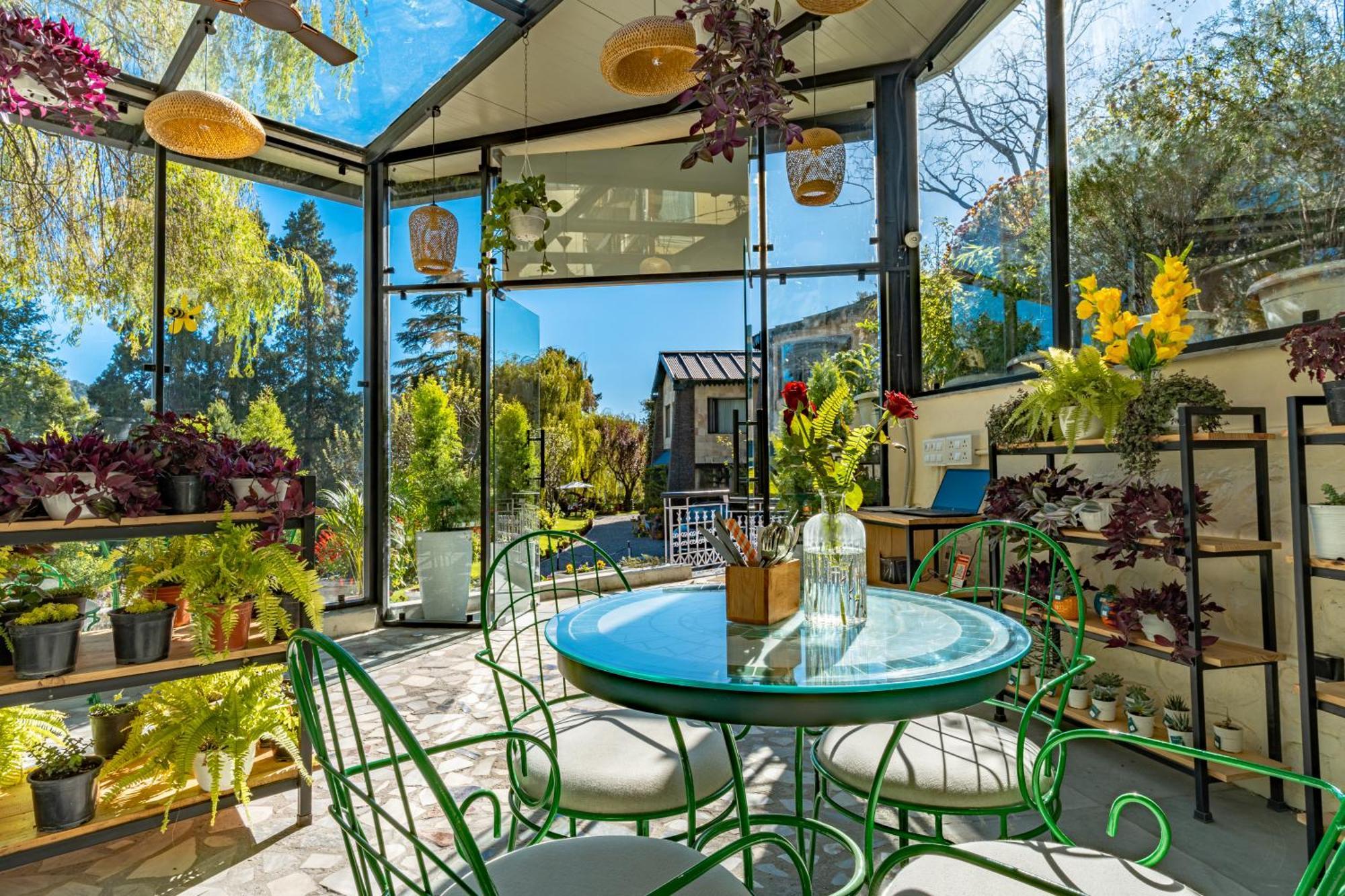 Shervani Hilltop Resort Nainital Bagian luar foto