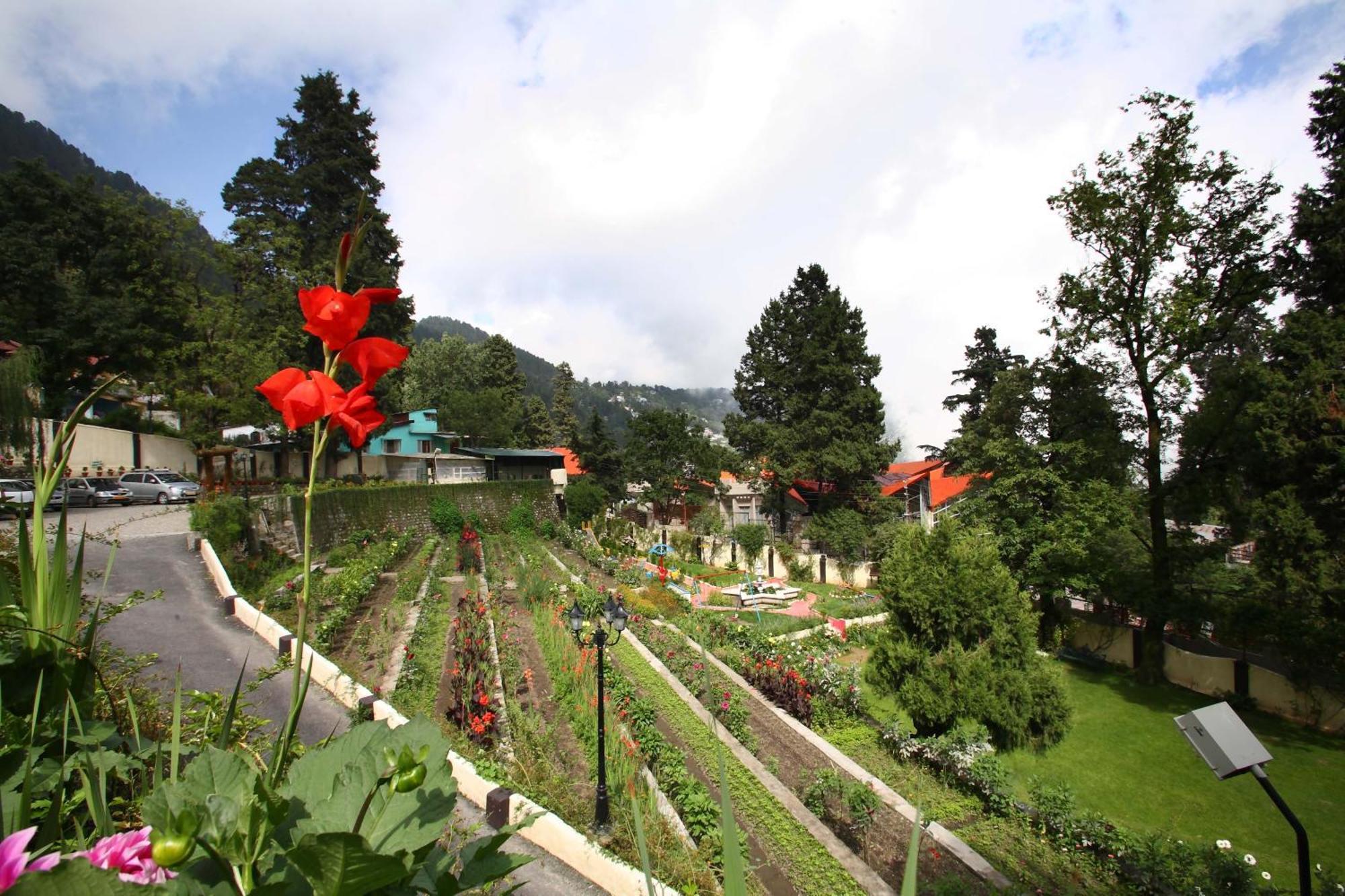 Shervani Hilltop Resort Nainital Bagian luar foto
